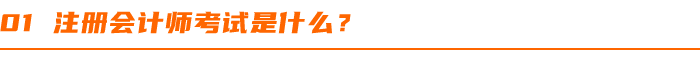 注冊會(huì)計(jì)師(shī)考試是(shì)什(shén)麽？